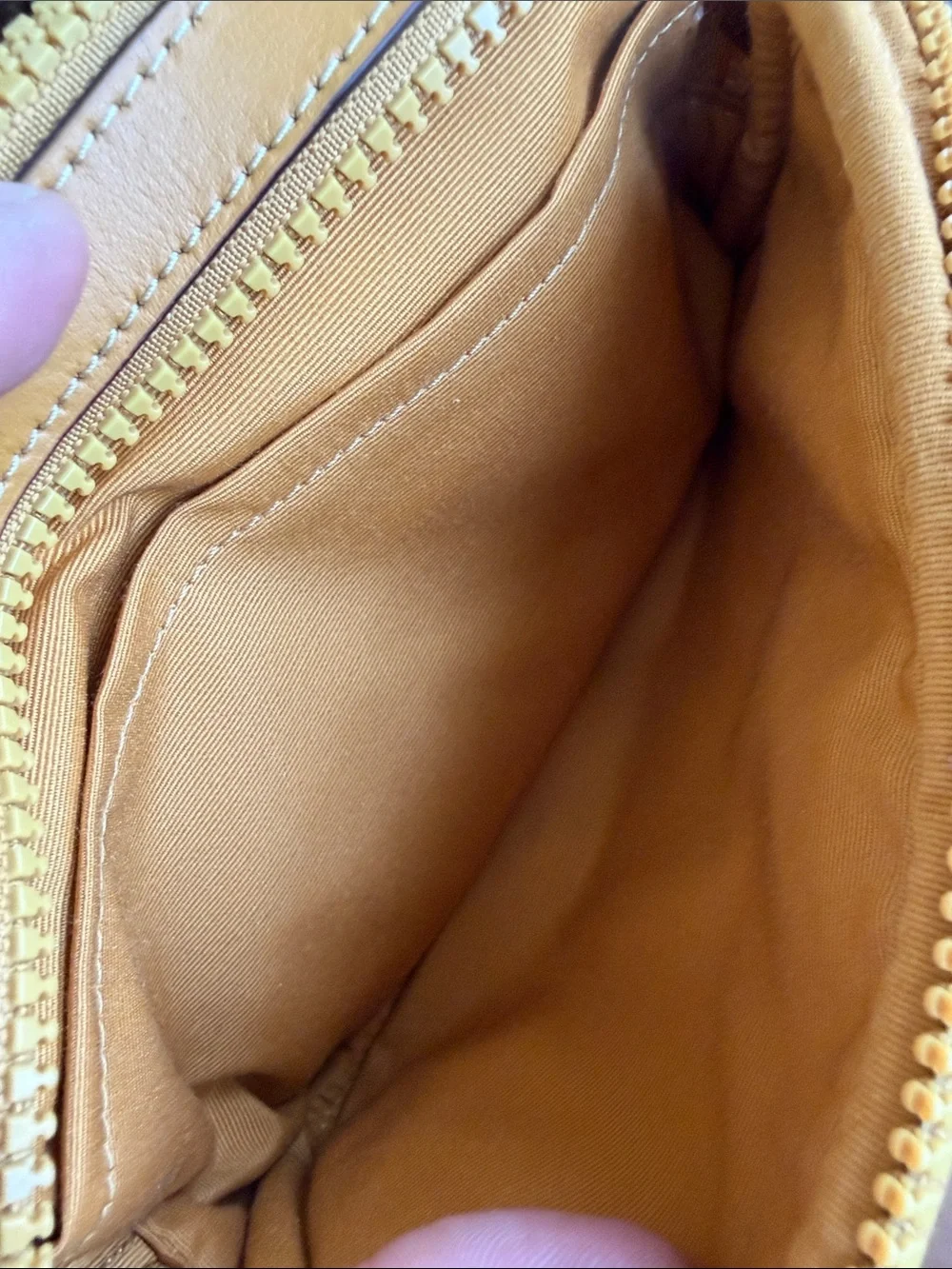 NWT Coach Crossbody Pouch